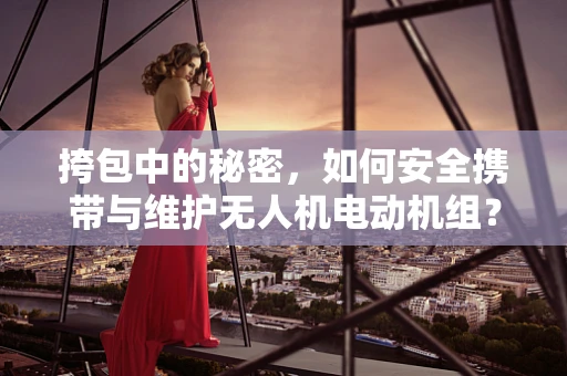 挎包中的秘密，如何安全携带与维护无人机电动机组？
