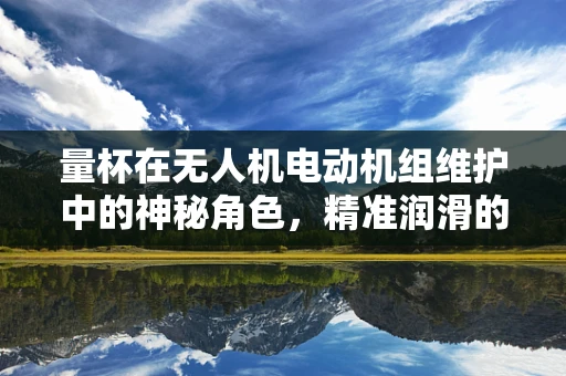 量杯在无人机电动机组维护中的神秘角色，精准润滑的秘密武器？