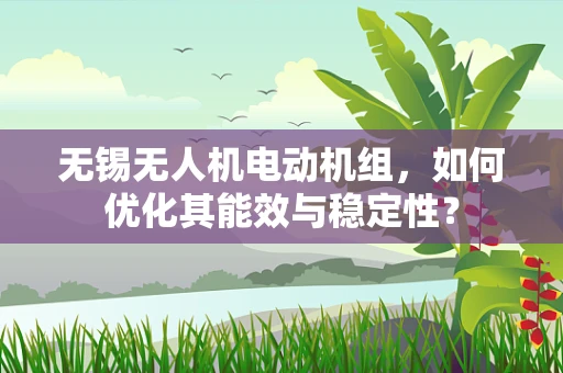无锡无人机电动机组，如何优化其能效与稳定性？