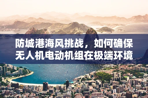 防城港海风挑战，如何确保无人机电动机组在极端环境下的稳定运行？