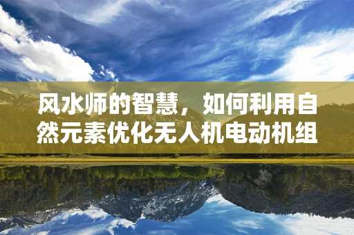 风水师的智慧，如何利用自然元素优化无人机电动机组性能？