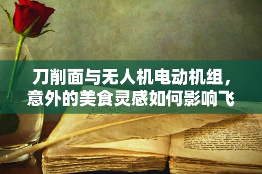 刀削面与无人机电动机组，意外的美食灵感如何影响飞行效率？