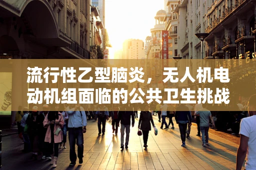 流行性乙型脑炎，无人机电动机组面临的公共卫生挑战