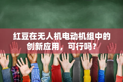 红豆在无人机电动机组中的创新应用，可行吗？