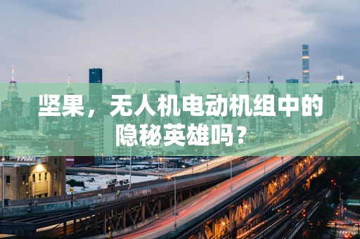 坚果，无人机电动机组中的隐秘英雄吗？