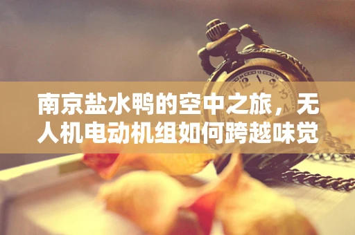 南京盐水鸭的空中之旅，无人机电动机组如何跨越味觉与科技的边界？