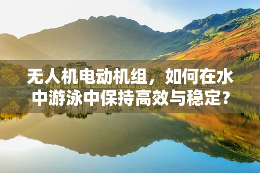 无人机电动机组，如何在水中游泳中保持高效与稳定？