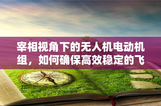 宰相视角下的无人机电动机组，如何确保高效稳定的飞行？