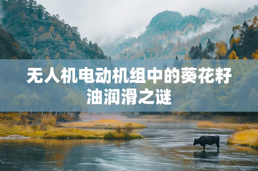 无人机电动机组中的葵花籽油润滑之谜