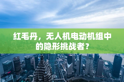 红毛丹，无人机电动机组中的隐形挑战者？