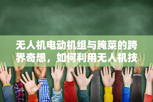 无人机电动机组与腌菜的跨界奇想，如何利用无人机技术优化腌菜发酵过程？