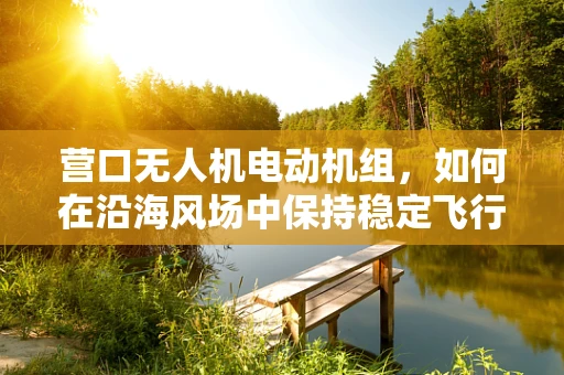 营口无人机电动机组，如何在沿海风场中保持稳定飞行？