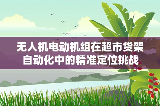 无人机电动机组在超市货架自动化中的精准定位挑战