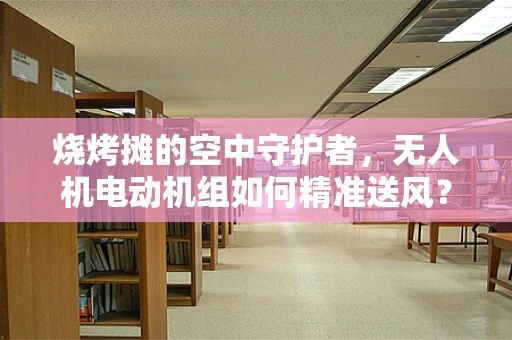 烧烤摊的空中守护者，无人机电动机组如何精准送风？