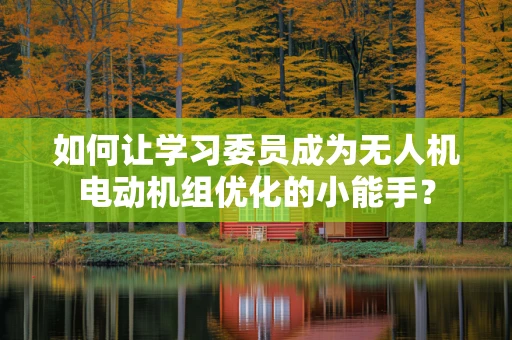 如何让学习委员成为无人机电动机组优化的小能手？