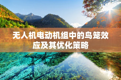 无人机电动机组中的鸟笼效应及其优化策略