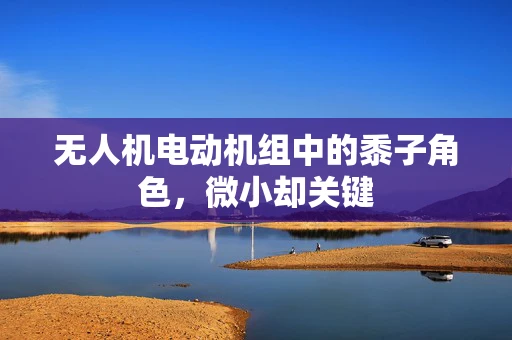 无人机电动机组中的黍子角色，微小却关键