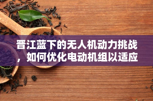 晋江蓝下的无人机动力挑战，如何优化电动机组以适应湿热环境？