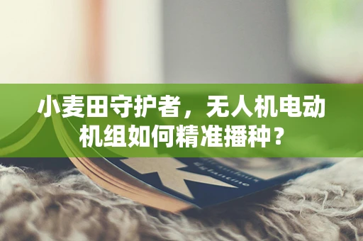 小麦田守护者，无人机电动机组如何精准播种？