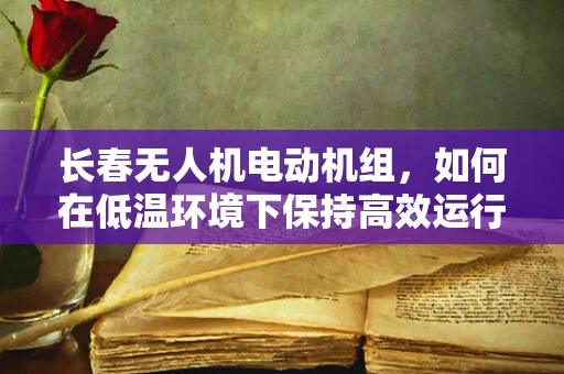 长春无人机电动机组，如何在低温环境下保持高效运行？