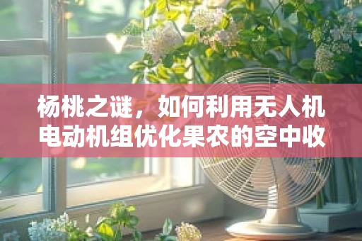 杨桃之谜，如何利用无人机电动机组优化果农的空中收获？
