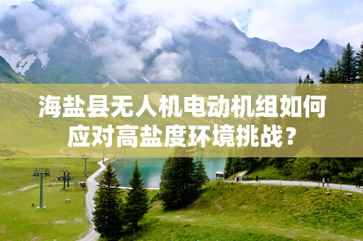 海盐县无人机电动机组如何应对高盐度环境挑战？