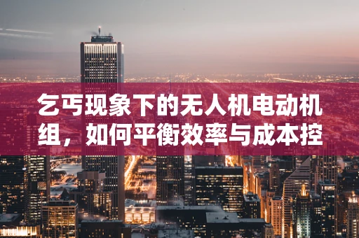 乞丐现象下的无人机电动机组，如何平衡效率与成本控制？