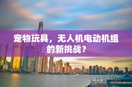 宠物玩具，无人机电动机组的新挑战？