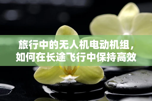 旅行中的无人机电动机组，如何在长途飞行中保持高效与安全？