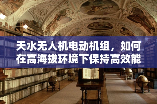 天水无人机电动机组，如何在高海拔环境下保持高效能？