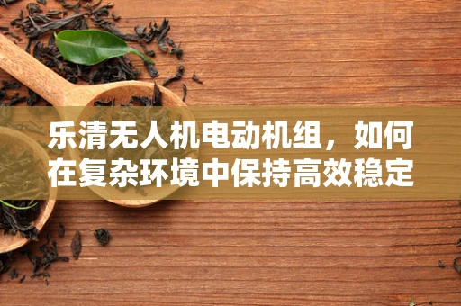 乐清无人机电动机组，如何在复杂环境中保持高效稳定？