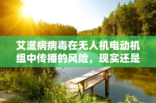 艾滋病病毒在无人机电动机组中传播的风险，现实还是虚构？