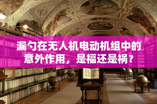 漏勺在无人机电动机组中的意外作用，是福还是祸？