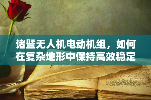 诸暨无人机电动机组，如何在复杂地形中保持高效稳定飞行？