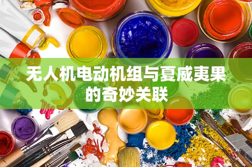 无人机电动机组与夏威夷果的奇妙关联
