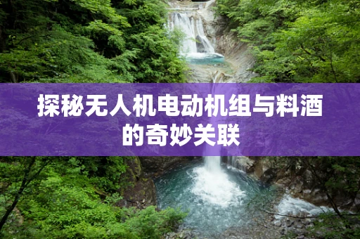 探秘无人机电动机组与料酒的奇妙关联