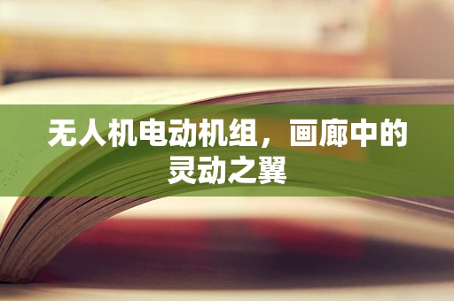 无人机电动机组，画廊中的灵动之翼