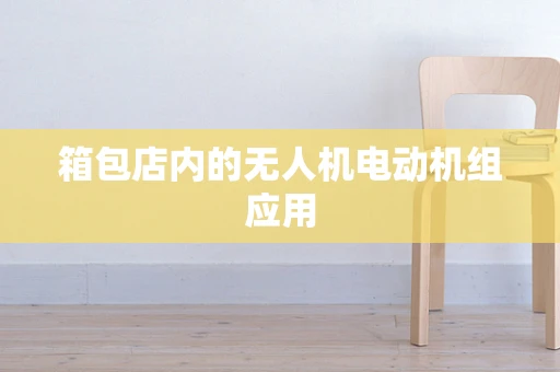 箱包店内的无人机电动机组应用