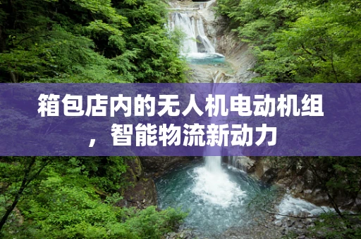 箱包店内的无人机电动机组，智能物流新动力