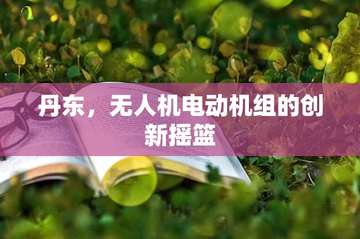 丹东，无人机电动机组的创新摇篮