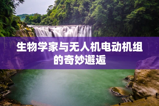 生物学家与无人机电动机组的奇妙邂逅
