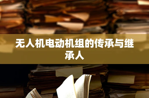 无人机电动机组的传承与继承人