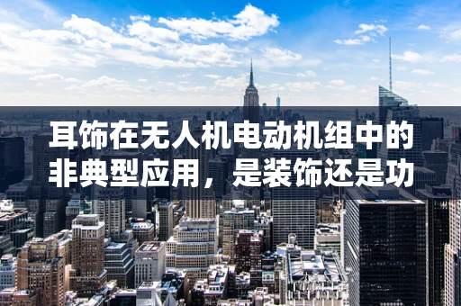 耳饰在无人机电动机组中的非典型应用，是装饰还是功能？