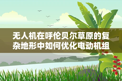 无人机在呼伦贝尔草原的复杂地形中如何优化电动机组性能？