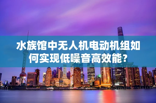 水族馆中无人机电动机组如何实现低噪音高效能？