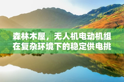 森林木屋，无人机电动机组在复杂环境下的稳定供电挑战