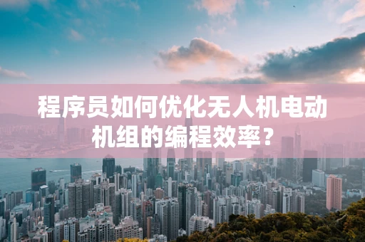 程序员如何优化无人机电动机组的编程效率？