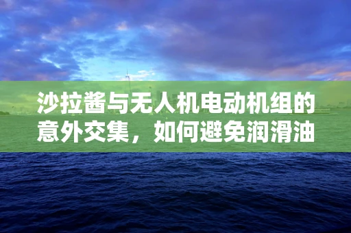 沙拉酱与无人机电动机组的意外交集，如何避免润滑油污染？