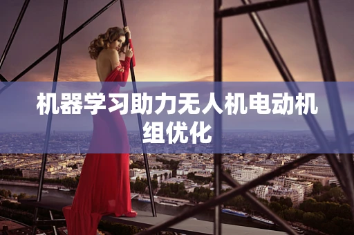 机器学习助力无人机电动机组优化