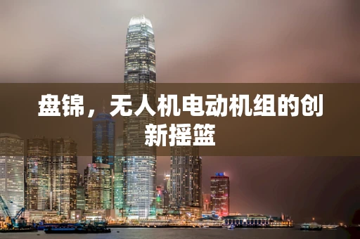 盘锦，无人机电动机组的创新摇篮